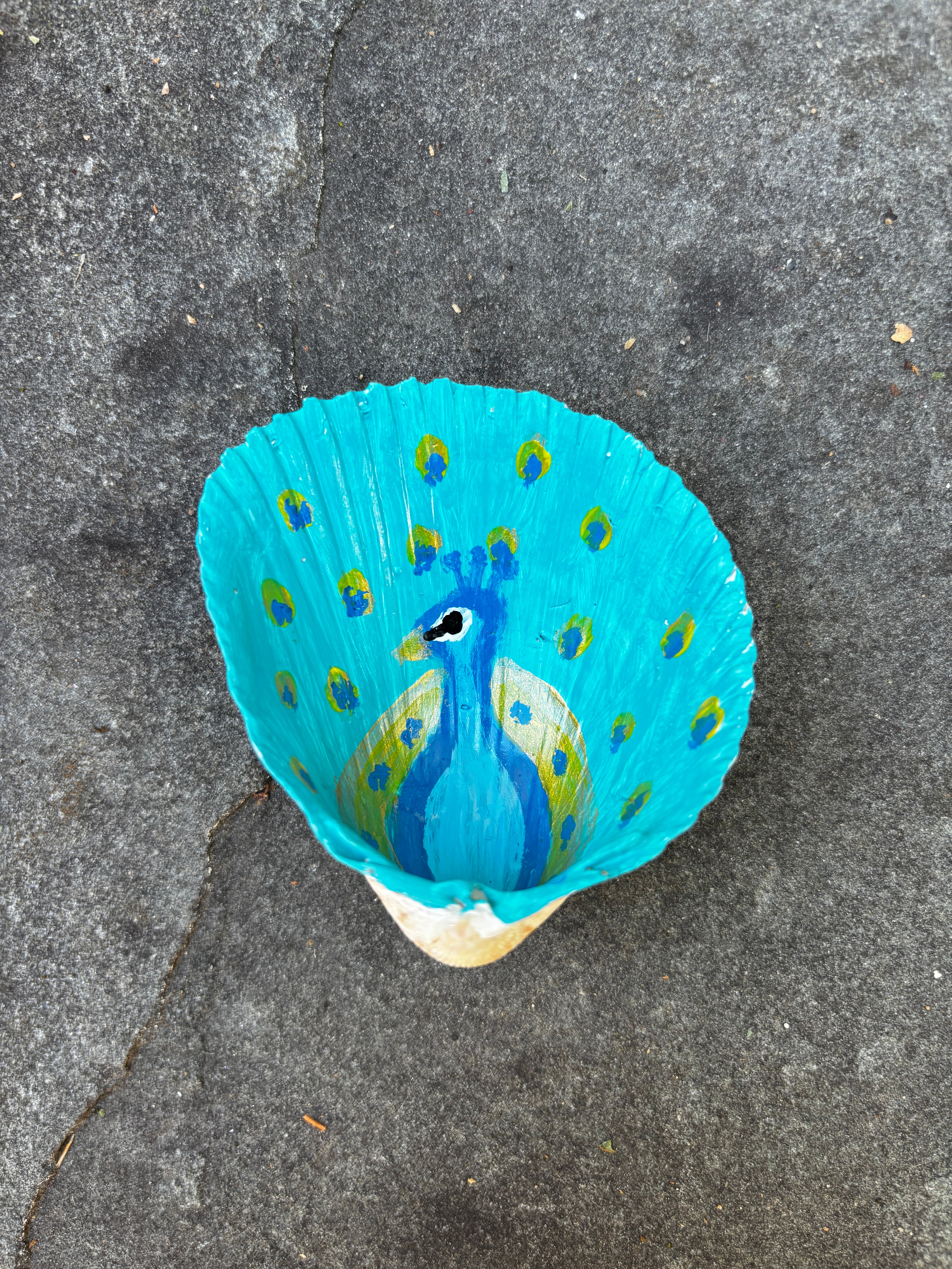 Peacock Clamshell Jewelry Dish