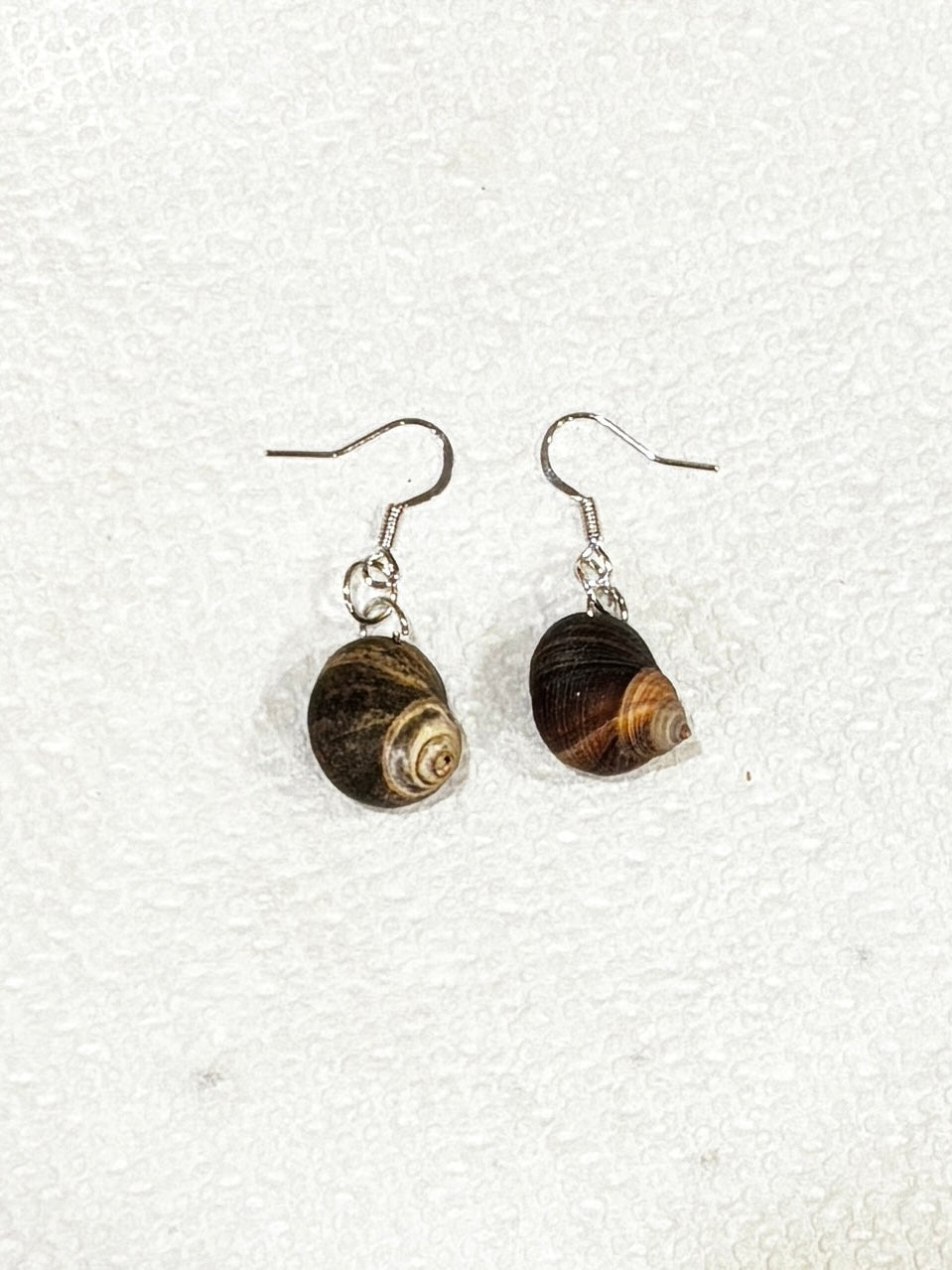 Small Seashell Earrings