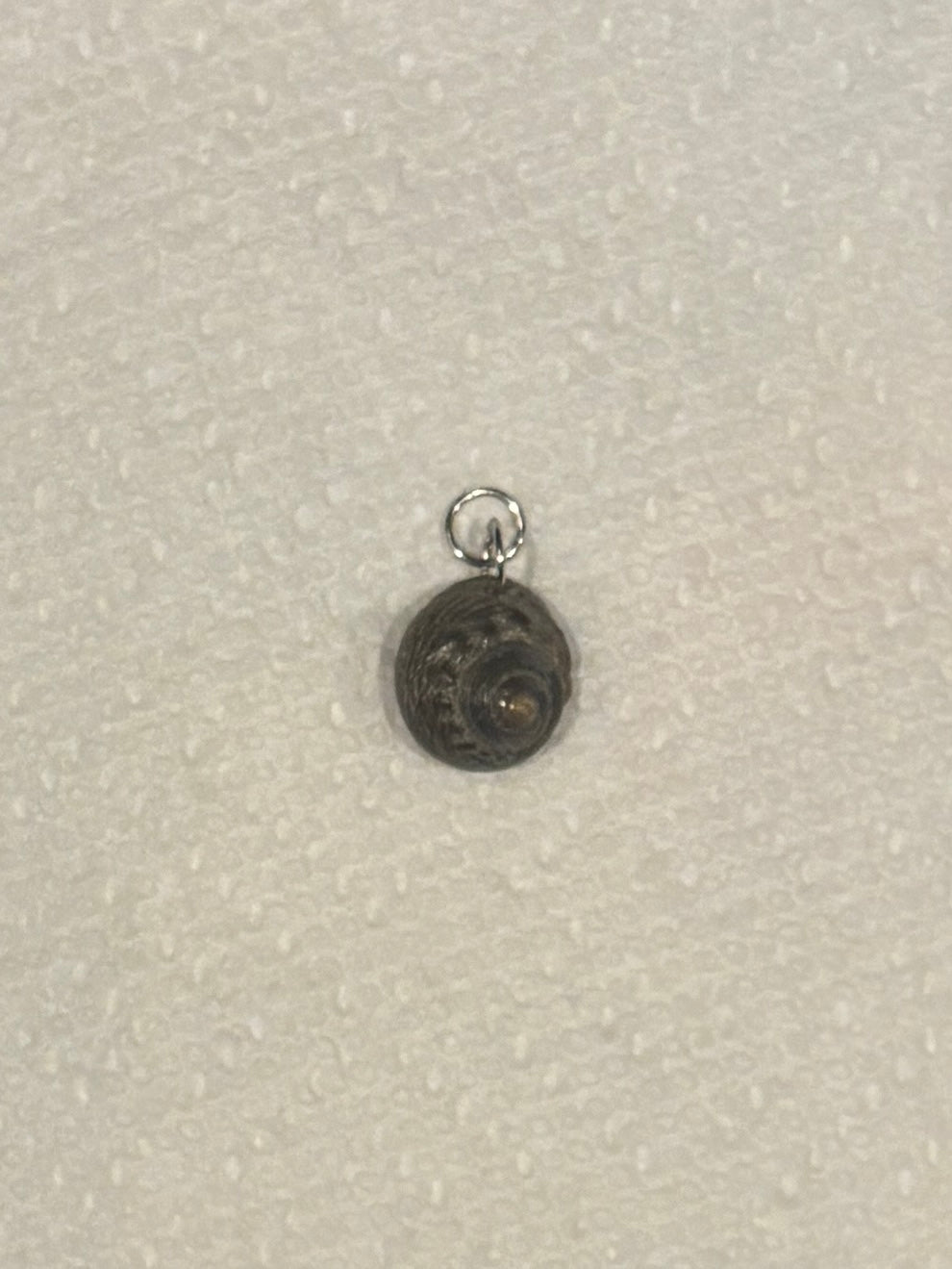 Seashell Charm