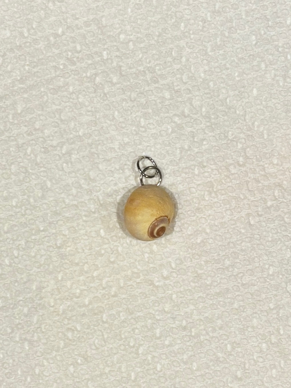 Seashell Charm