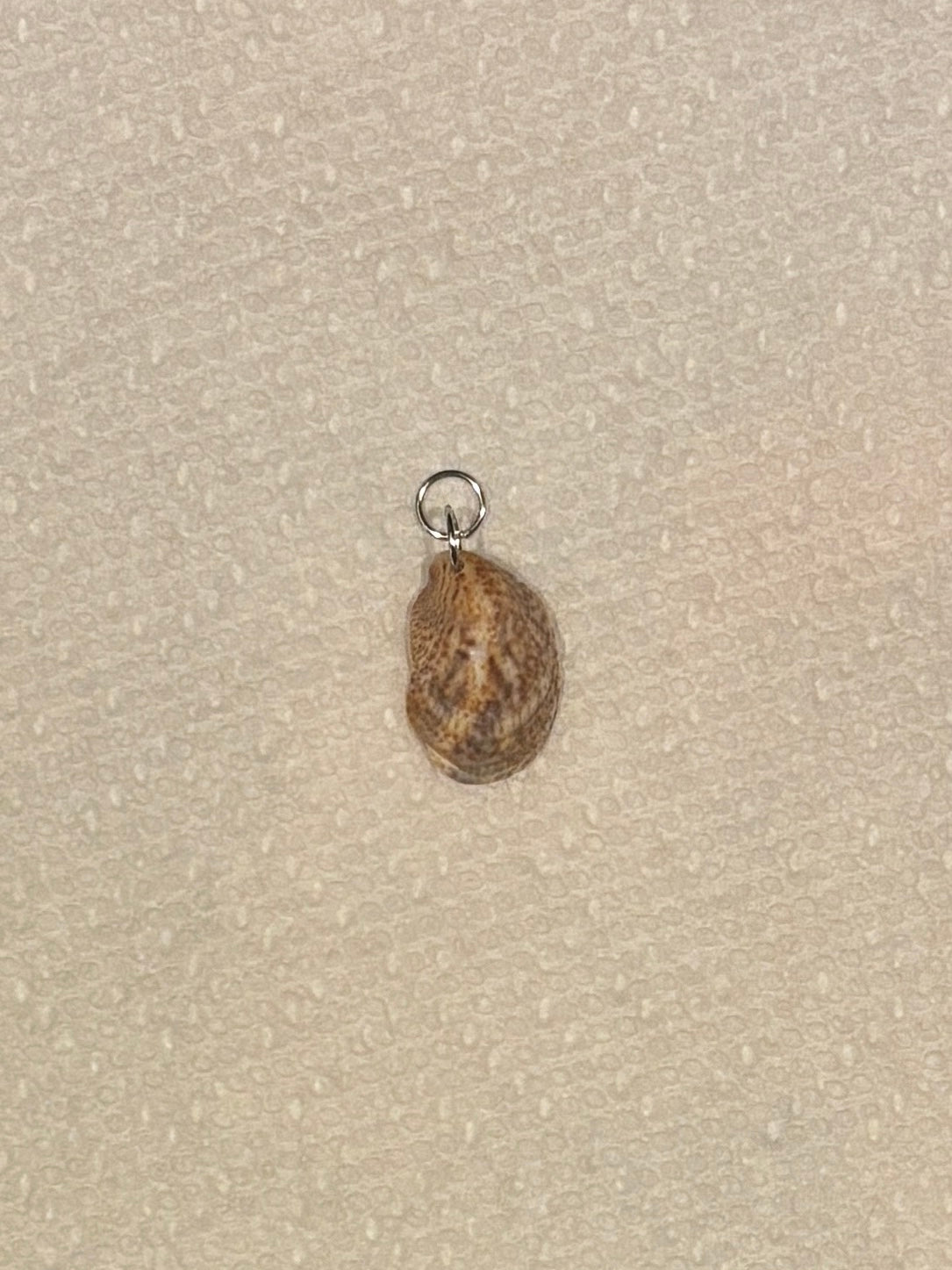 Seashell Charm