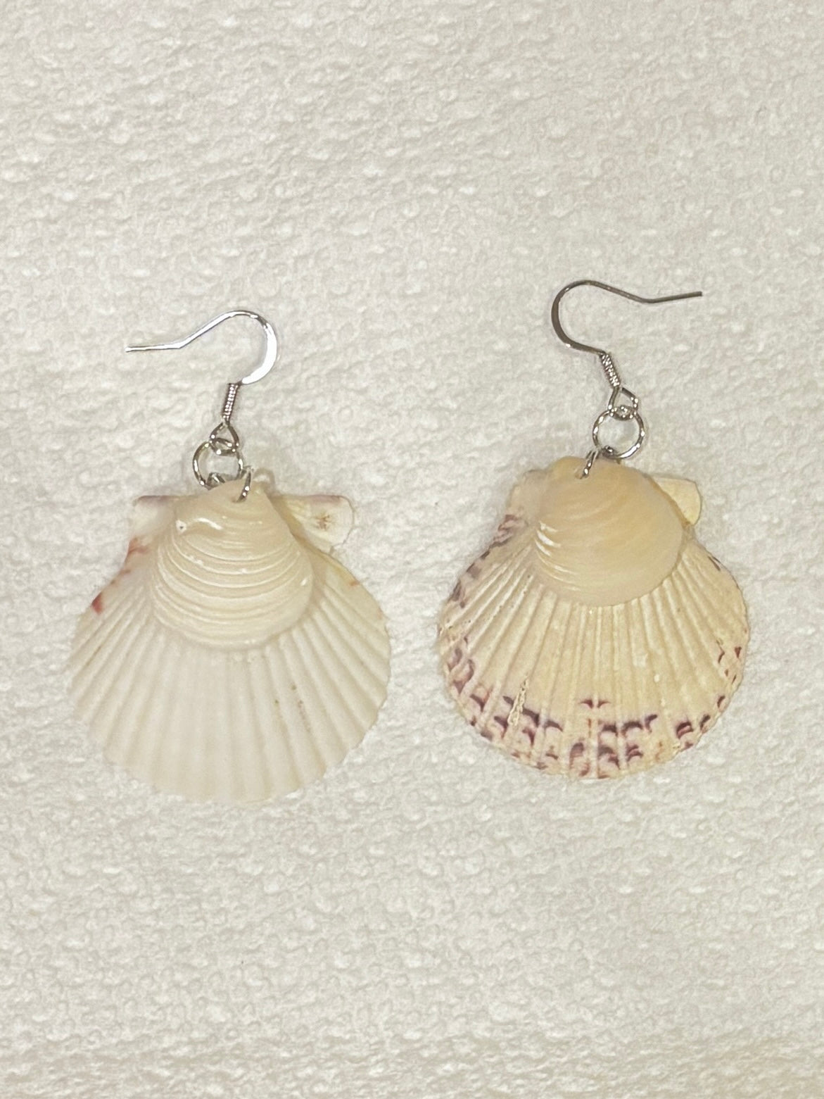 Layered Clamshell Earrings
