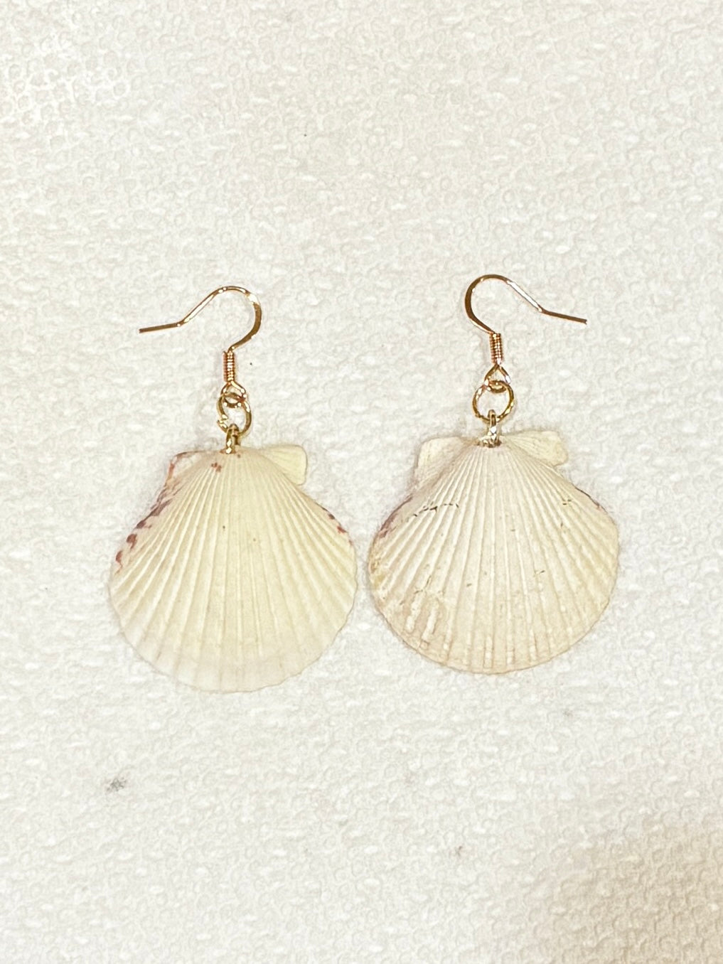 Clamshell Earrings