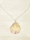 Clamshell Necklace