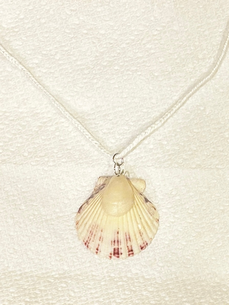 Clamshell Necklace