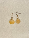 Small Seashell Earrings