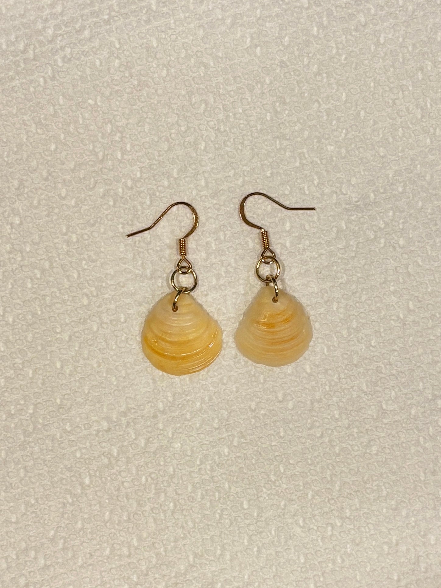 Small Seashell Earrings